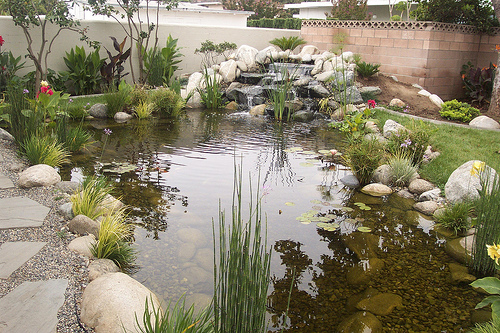 Waterscapes