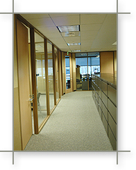 Commerical Full Glass Window Wall in Austin Texas
