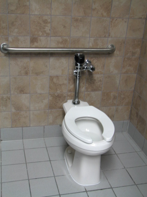 Self flushing ADA toilet with adequate grab bars