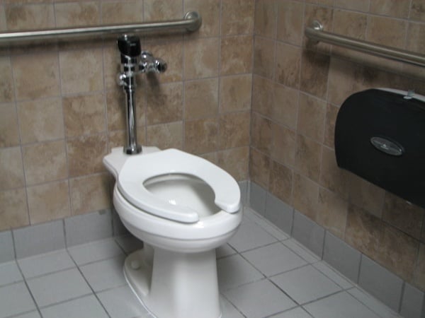 ADA compatible grab bars and automatic flushing fixtures