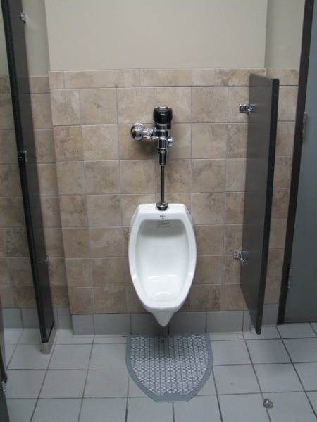 Auto flushing ADA height urinals with privacy screen
