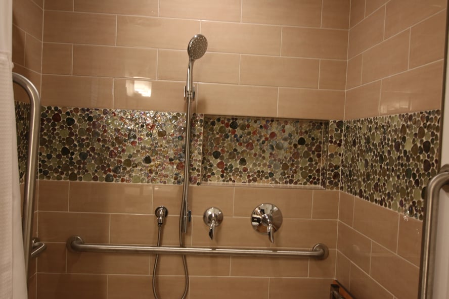 Accessible Shower in Austin